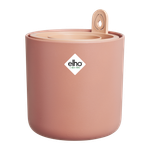 amazing avocado pot toffee terra